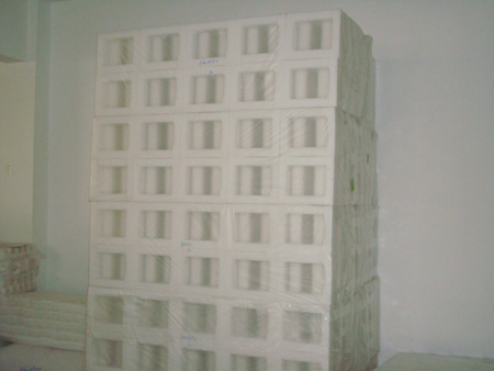 31